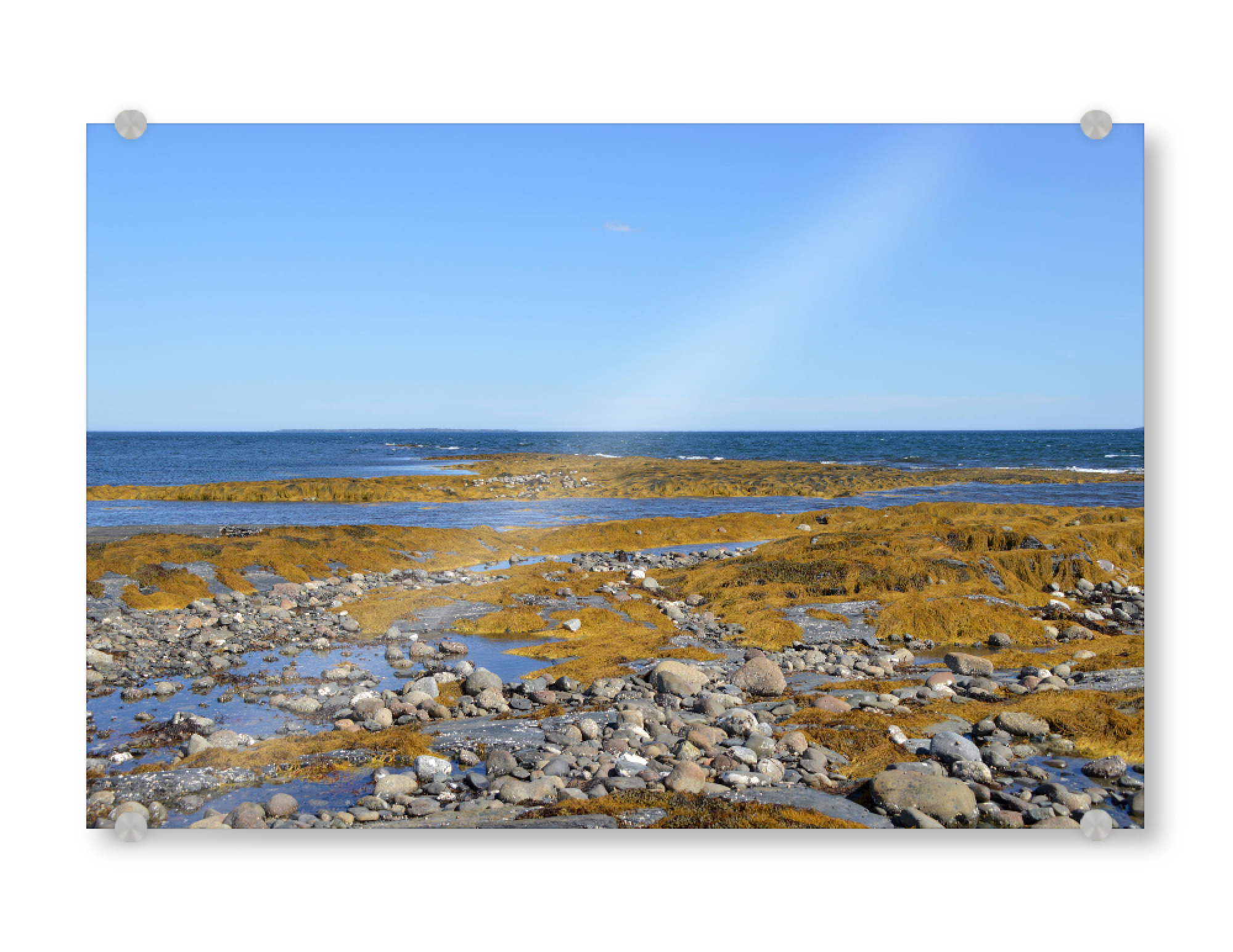 Acrylglasbild "Küste Nova Scotia" artboxONE - Natur,Reise,Reise / Strand und Meer,Reise / Länder