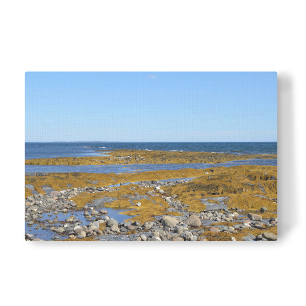 Leinwandbild "Küste Nova Scotia" artboxONE - Natur,Reise,Reise / Strand und Meer,Reise / Länder