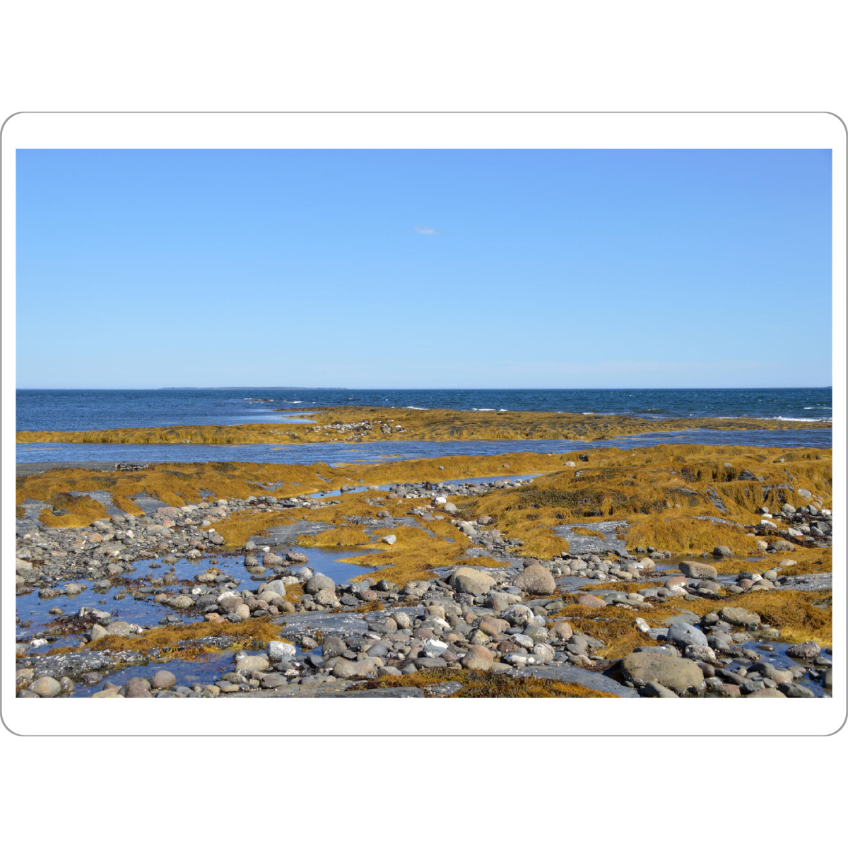 Tischset "Küste Nova Scotia" artboxONE - Natur,Reise,Reise / Strand und Meer,Reise / Länder