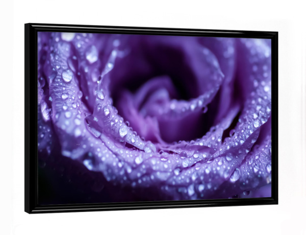 Poster mit schwarzem Rahmen "In die Rose" artboxONE - Natur,Floral,Abstrakt,Für Mama