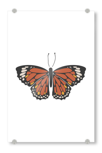 Acrylglasbild "Rote Schmetterlingskunst" artboxONE - Tiere - Schmetterling,Insekt,Druckbar,Abstrakt,Boho,Rot,Design