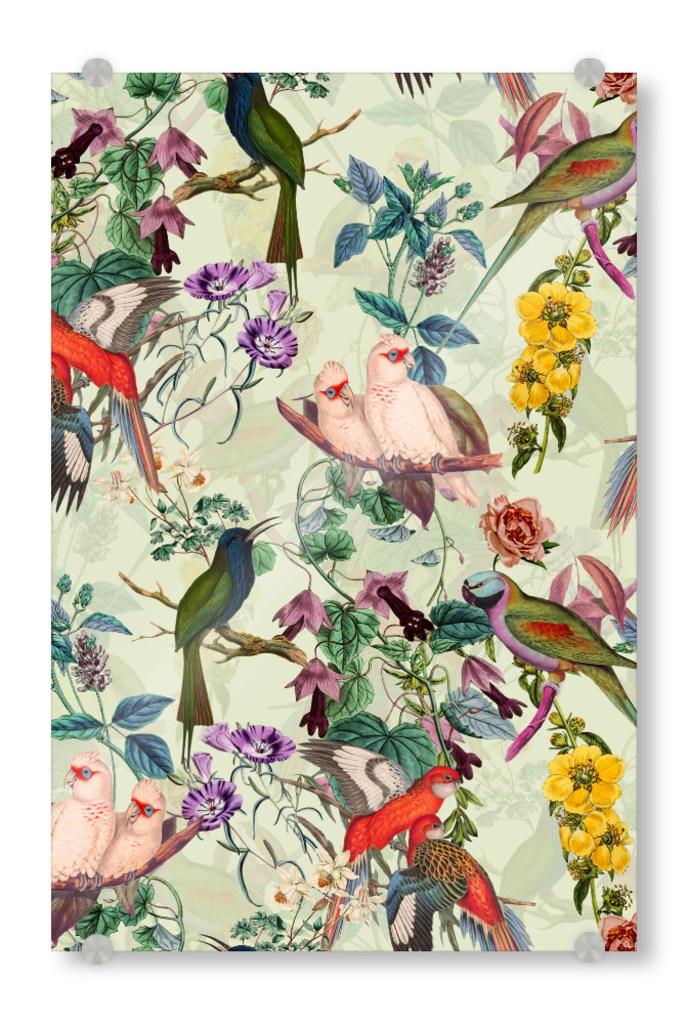 Acrylglasbild "Blumen- und Vogelsommer" artboxONE - Natur,Floral,Tiere