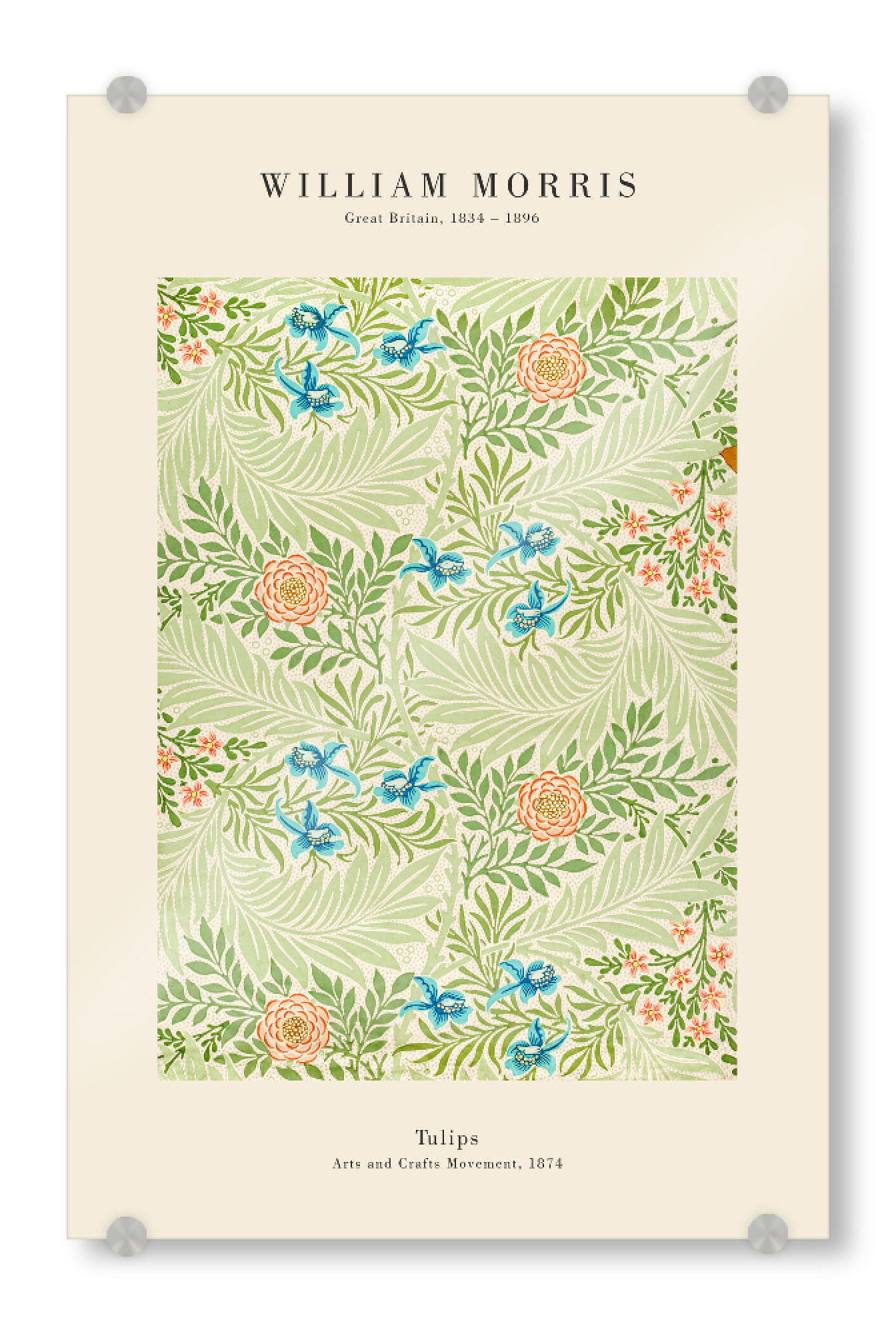 Acrylglasbild "William Morris - Larkspur Duo" artboxONE - Natur,Floral