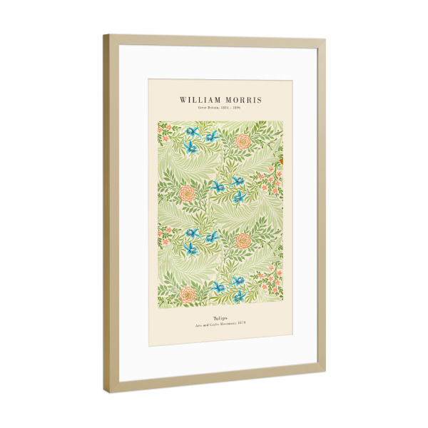 Poster mit Rahmen Gold "William Morris - Larkspur Duo" artboxONE - Natur,Floral