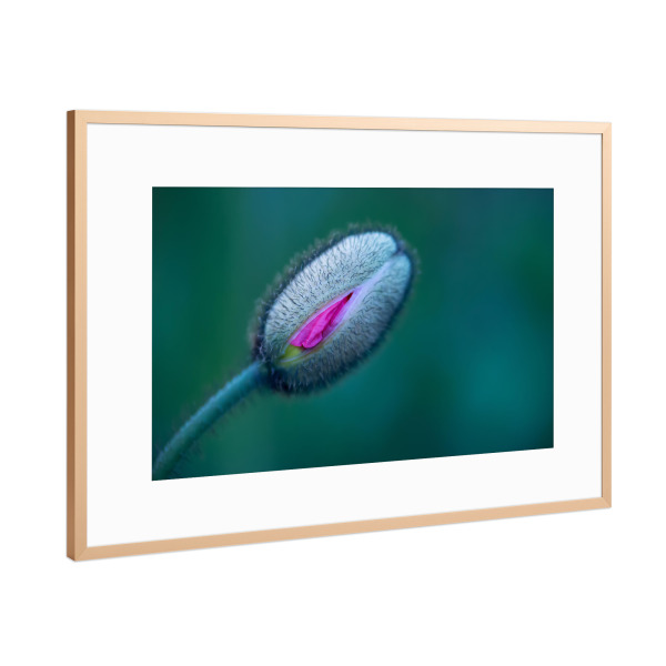 Poster mit Rahmen Kupfer "Frühlingsstimmung" artboxONE - Natur,Floral,Abstrakt,Für Mama