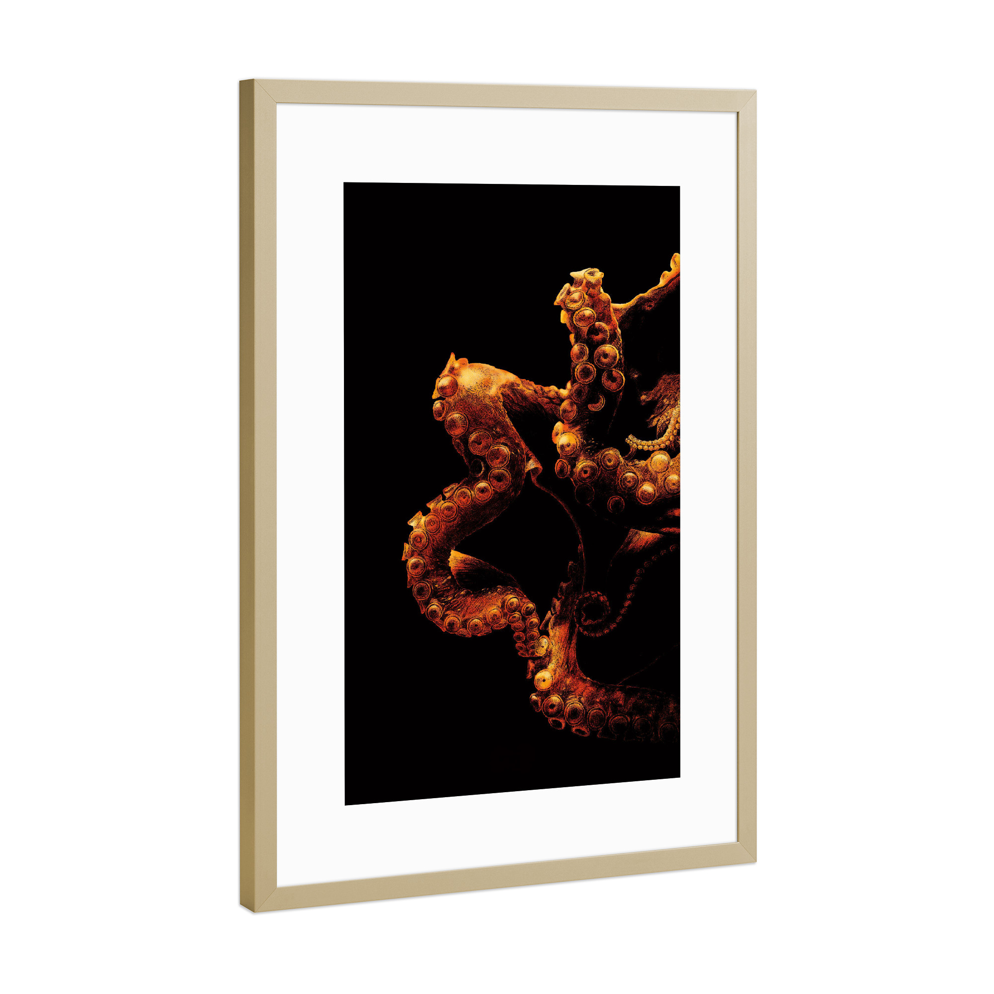 Poster mit Rahmen Gold "Oktopus Illustration" artboxONE - Tiere - Oktopus,Krake,Tier,Tierportrait,Meer,Ozean,Ocean,Sea,Octopus,Illustration