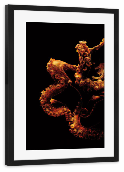 Poster mit Rahmen schwarz "Oktopus Illustration" artboxONE - Tiere - Oktopus,Krake,Tier,Tierportrait,Meer,Ozean,Ocean,Sea,Octopus,Illustration