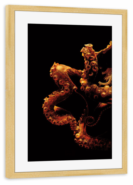 Poster mit Rahmen kiefer "Oktopus Illustration" artboxONE - Tiere - Oktopus,Krake,Tier,Tierportrait,Meer,Ozean,Ocean,Sea,Octopus,Illustration