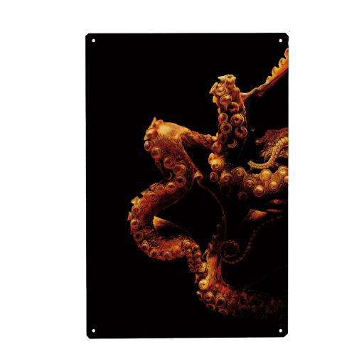 Oktopus Illustration