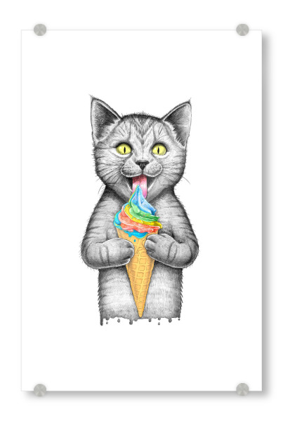 Acrylglasbild "Kat mit Eis" artboxONE - Tiere,Lustig - Katze,Katzen,Kätzchen,Kätzchen,Haustier,Tier,Tiere,Eis,Sommer,Süß,Lecker