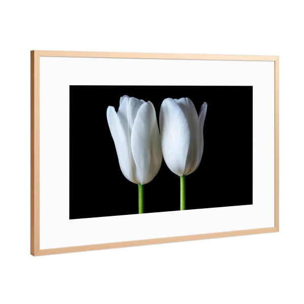 Poster mit Rahmen Kupfer "Zwillingstulpe" artboxONE - Natur,Floral,Abstrakt,Für Mama