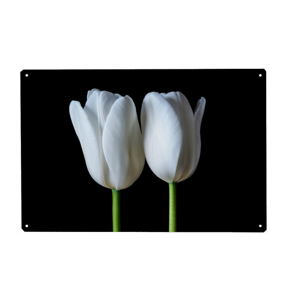 Holzbild "Zwillingstulpe" artboxONE - Natur,Floral,Abstrakt,Für Mama