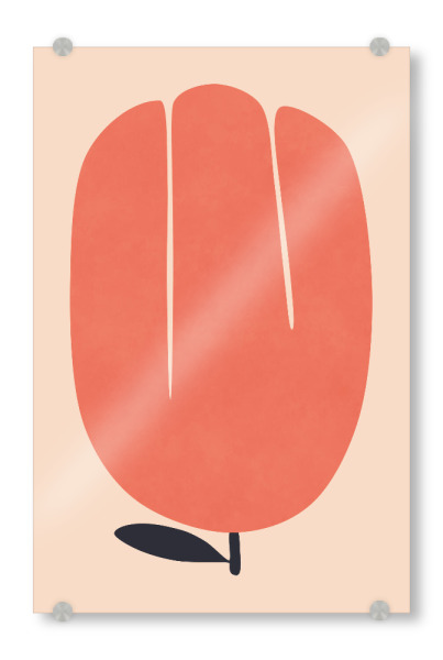 Acrylglasbild "Orangefarbene Tulpenblüte" artboxONE - Natur,Floral - Tulpe,Blume,Blumen,Botanik,Pflanze