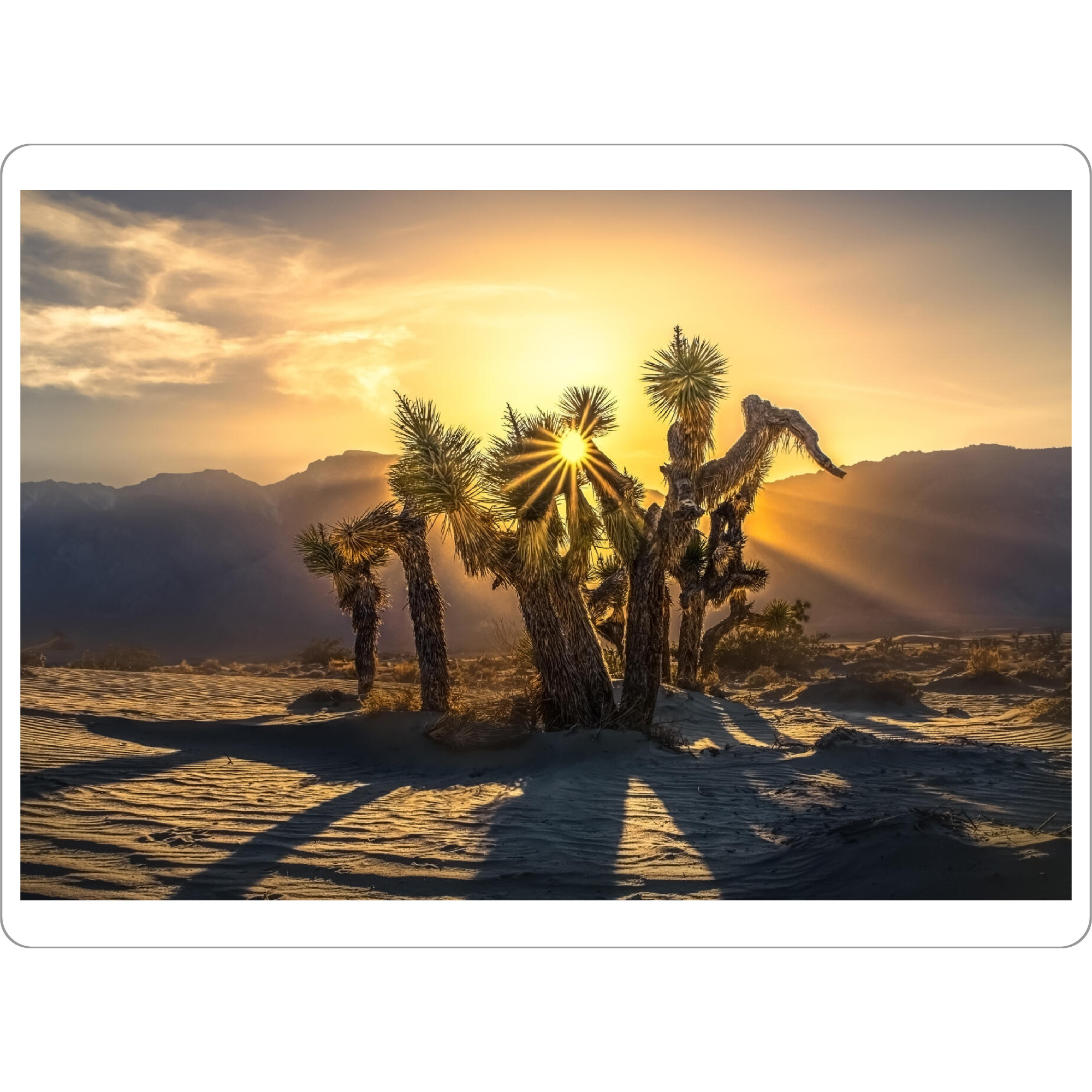 Tischset "Josua" artboxONE - Natur,Reise,Reise / Länder