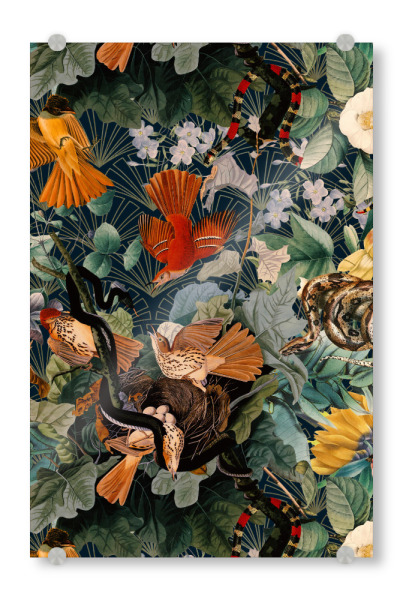 Acrylglasbild "Vögel und Blumenmuster" artboxONE - Natur,Floral,Tiere