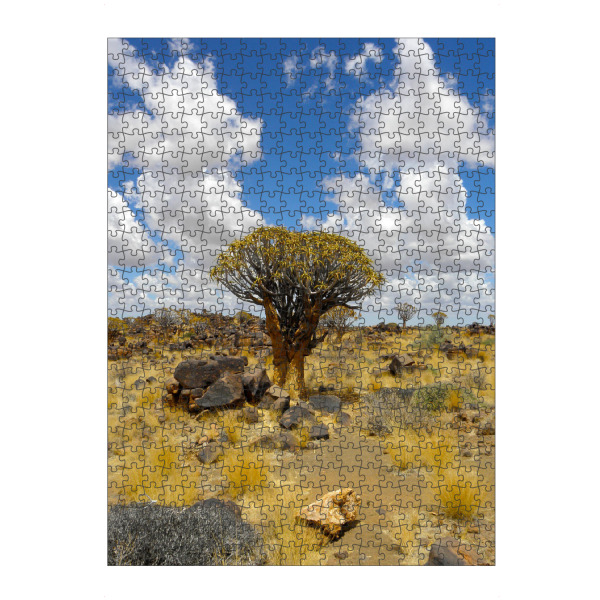 Puzzle Ravensburger "Köcherbaumwald" artboxONE - Natur,Reise,Floral,Reise / Afrika,Reise / Länder