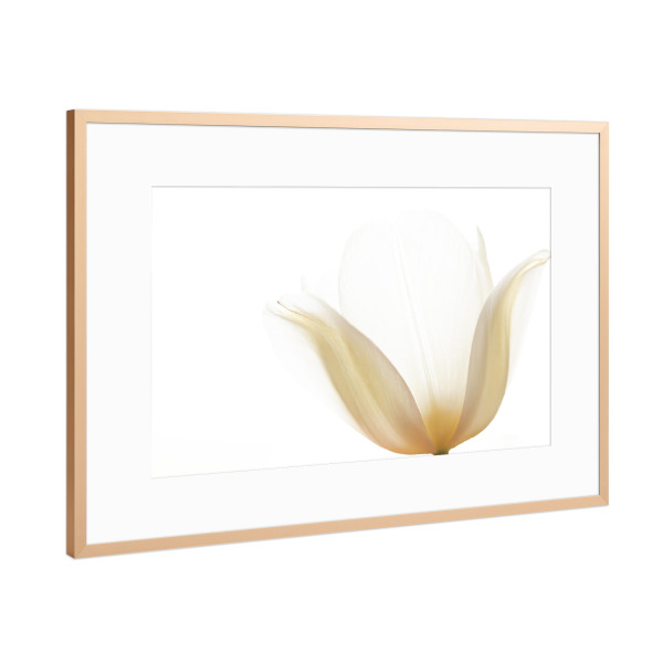 Poster mit Rahmen Kupfer "Lichtkelch" artboxONE - Natur,Floral,Für Mama