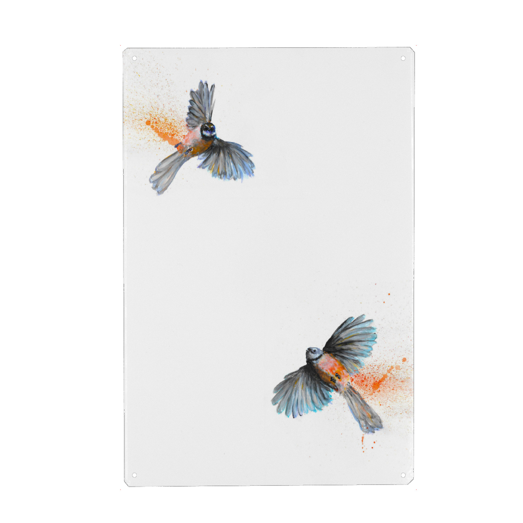 Metall Poster "Rua Piwakawaka" artboxONE - Tiere - Vögel,Fantail,Neuseeland,Aotearoa,Flug,Grafik,Bewegung,Natur,Platsch,Verspielt,Tierwelt,Vogel