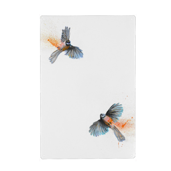 Metall Poster "Rua Piwakawaka" artboxONE - Tiere - Vögel,Fantail,Neuseeland,Aotearoa,Flug,Grafik,Bewegung,Natur,Platsch,Verspielt,Tierwelt,Vogel