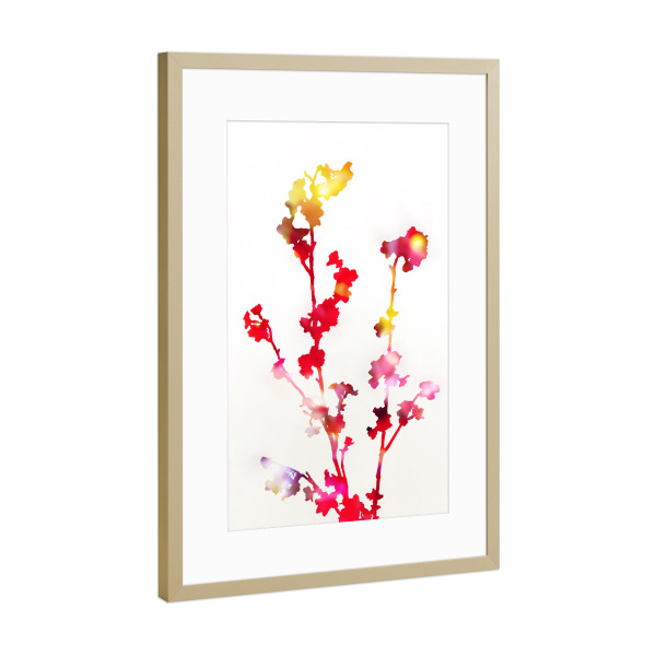 Poster mit Rahmen Gold "Blütenrot" artboxONE - Natur,Floral - Blume,Stillleben,Sommer,Licht,Glanz,Sonne,Sonnig,Sonne