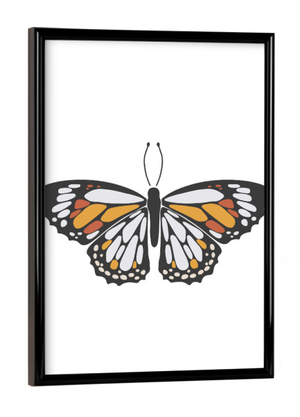 Poster mit schwarzem Rahmen "Weißer Sommerschmetterling" artboxONE - Tiere