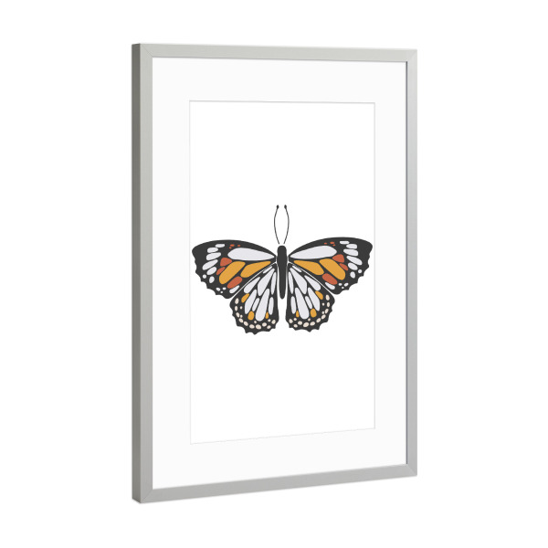 Poster mit Rahmen Silber "Weißer Sommerschmetterling" artboxONE - Tiere - Weiß,Boho,Insekt,Schmetterling,Tier,Illustration,Frühling,Sommer,Abstrakt