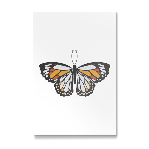 Galerie-Print "Weißer Sommerschmetterling" 30x20 cm artboxONE