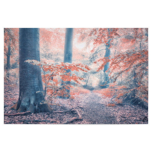 Poster "Herbst in den Niederlanden" artboxONE - Natur,Reise,Reise / Länder