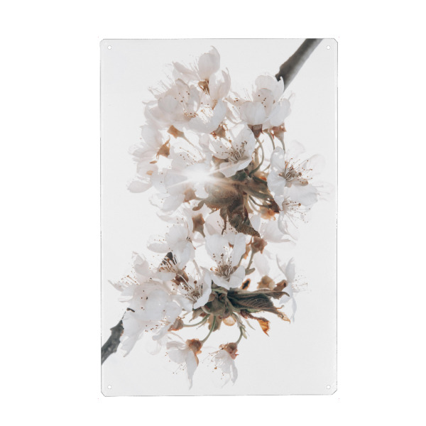 Metall Poster "Kirschzweig" artboxONE - Floral