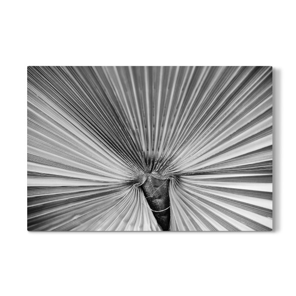 Galerie-Print "Blattwerk Nahaufnahme" 30x20 cm artboxONE