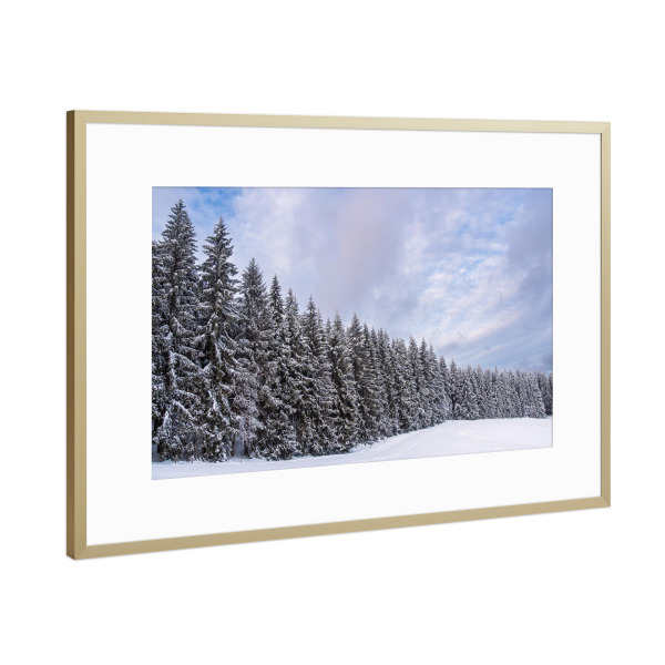Poster mit Rahmen Gold "Schnee und Winterwald" artboxONE - Natur,Reise