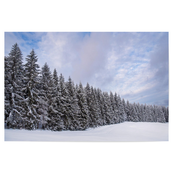 Poster "Schnee und Winterwald" artboxONE - Natur,Reise