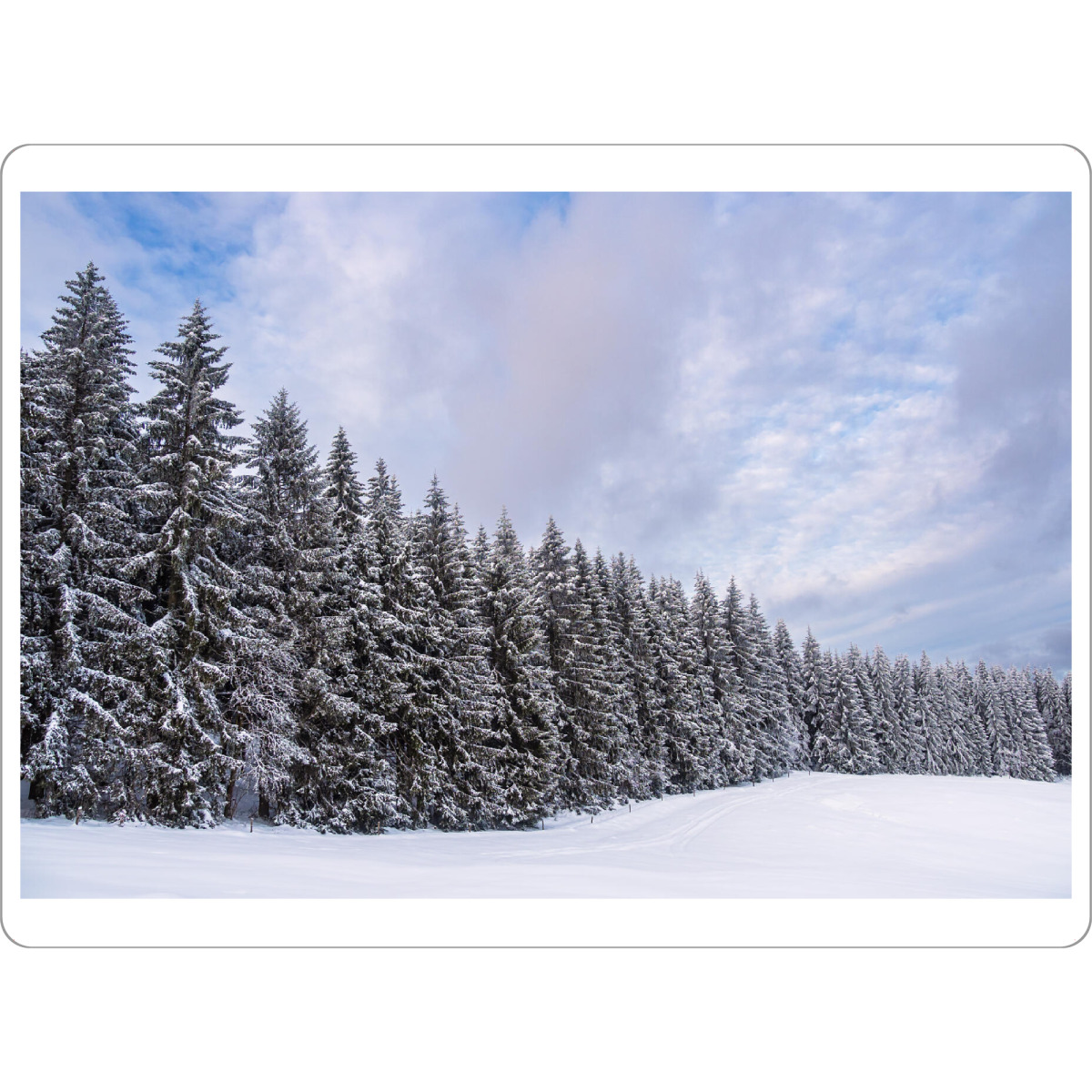Tischset "Schnee und Winterwald" artboxONE - Natur,Reise