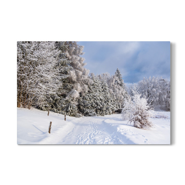 Galerie-Print "Schnee, Wald und Weg" 30x20 cm artboxONE