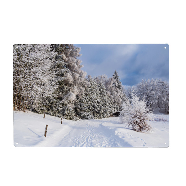 Holzbild "Schnee, Wald und Weg" artboxONE - Natur,Reise
