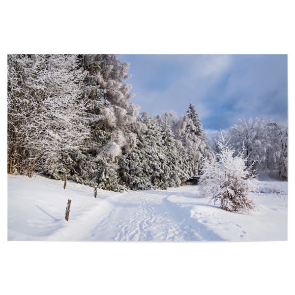 Poster 30x20 cm "Schnee, Wald und Weg" artboxONE - Natur,Reise