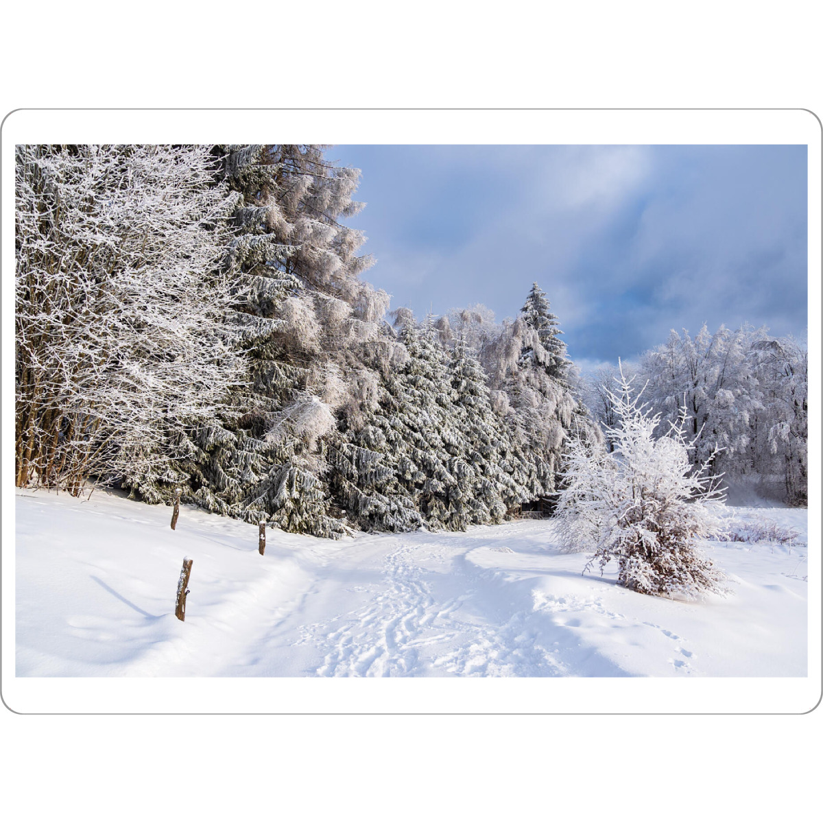 Tischset "Schnee, Wald und Weg" artboxONE - Natur,Reise