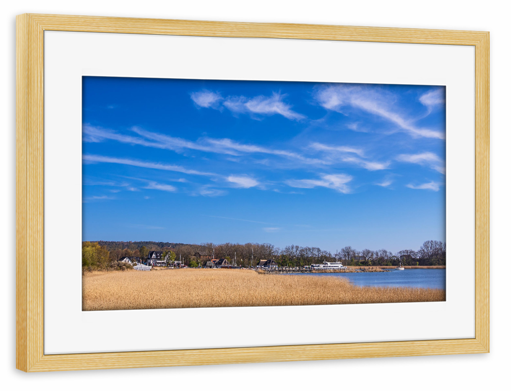 Poster mit Rahmen kiefer "Schilf, Küste, Bäume" artboxONE - Natur,Reise,Architektur,Reise / Strand und Meer