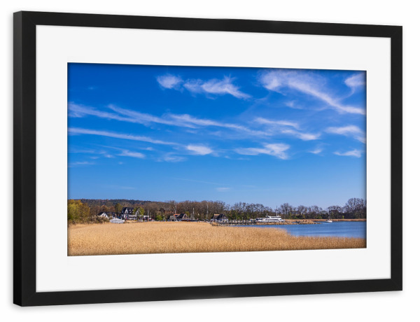 Poster mit Rahmen schwarz "Schilf, Küste, Bäume" artboxONE - Natur,Reise,Architektur,Reise / Strand und Meer
