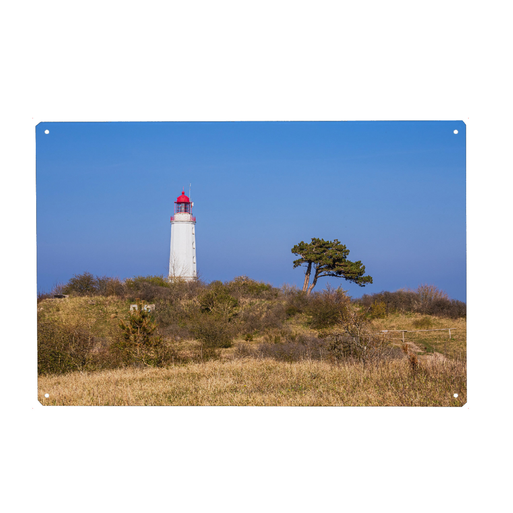 Metall Poster "Gras, Baum, Leuchtturm" artboxONE - Natur,Reise,Architektur