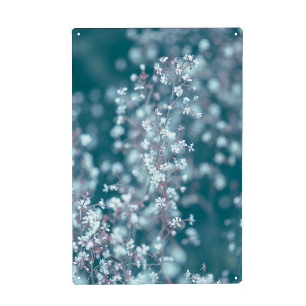 Metall Poster "Porzellanblümchen" artboxONE - Natur,Floral
