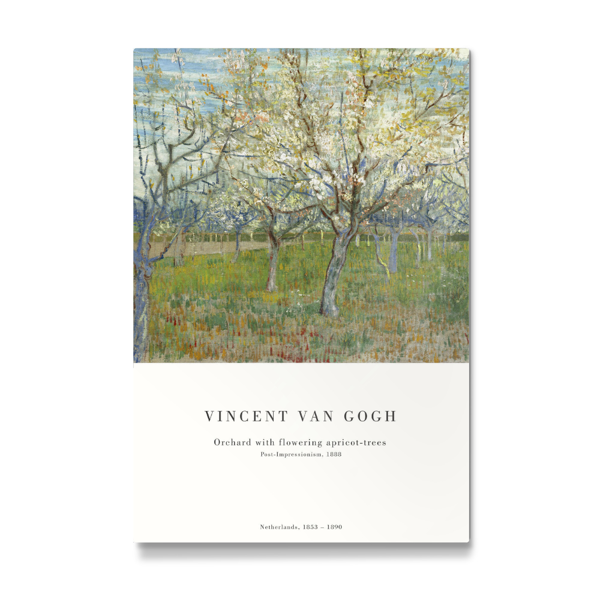Galerie-Print "Van Gogh - Der Obstgarten" 30x20 cm artboxONE