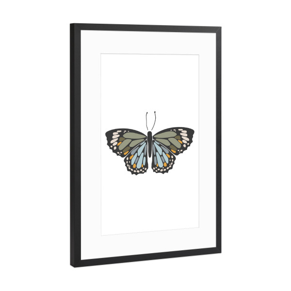 Poster mit Rahmen Schwarz (Metallic) "Blaues Schmetterlingsinsekt" artboxONE - Tiere