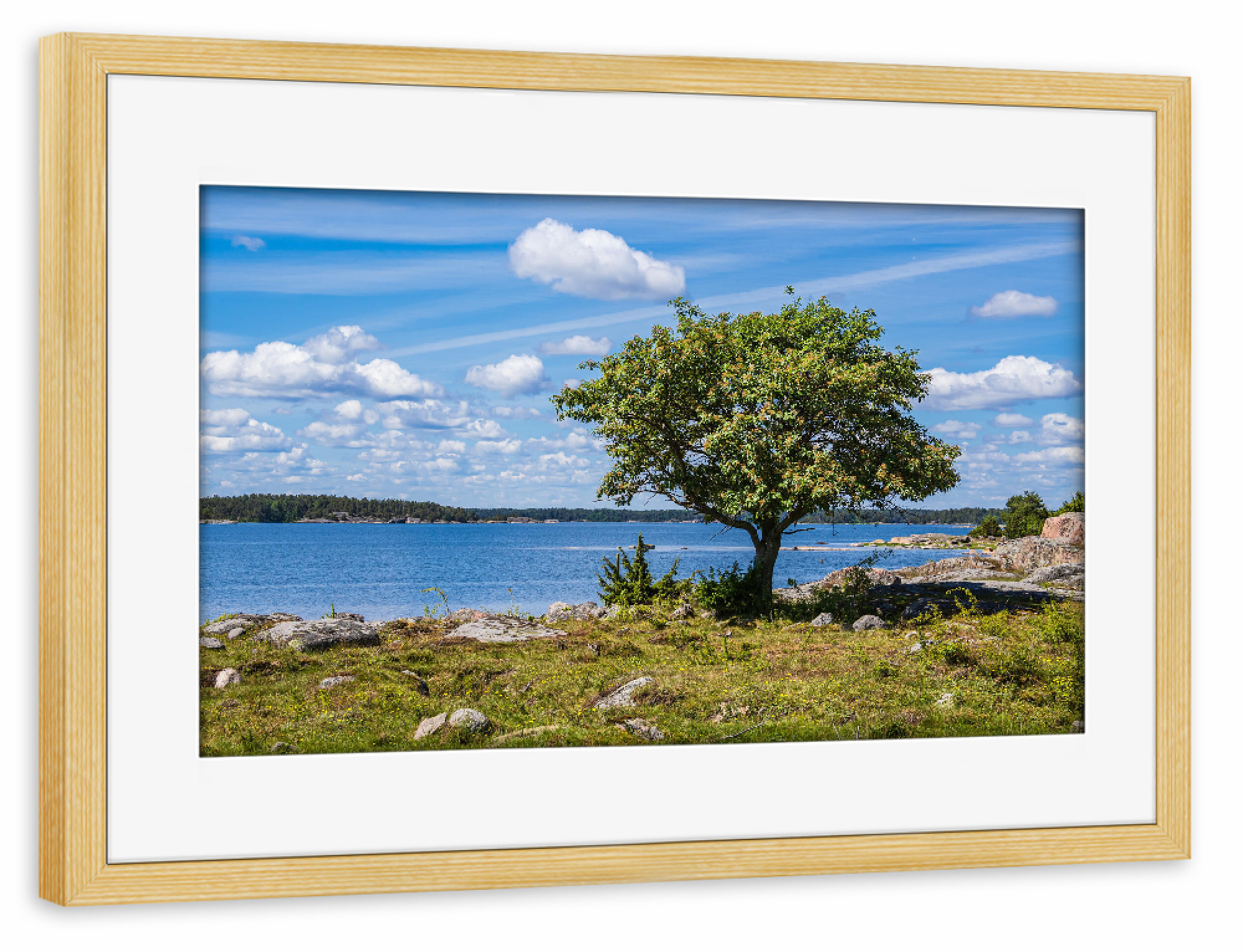 Poster mit Rahmen kiefer "Wiese, Steine, Baum, Ostsee" artboxONE - Natur,Reise,Reise / Strand und Meer,Reise / Länder