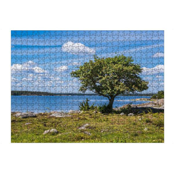 artboxONE Puzzle "Wiese, Steine, Baum, Ostsee" artboxONE - Natur,Reise,Reise / Strand und Meer,Reise / Länder