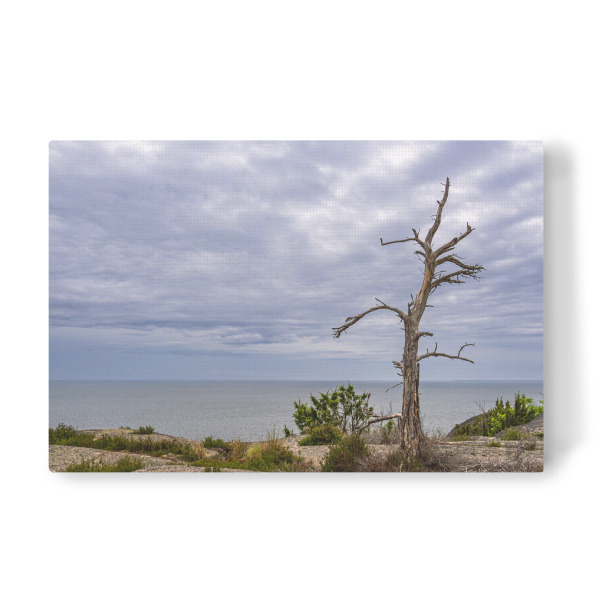 Leinwandbild "Wolkenhimmel, Baum, Fels" artboxONE - Natur,Reise,Reise / Strand und Meer,Reise / Länder