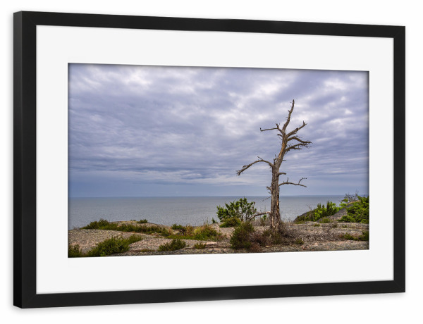 Poster mit Rahmen schwarz "Wolkenhimmel, Baum, Fels" artboxONE - Natur,Reise,Reise / Strand und Meer,Reise / Länder
