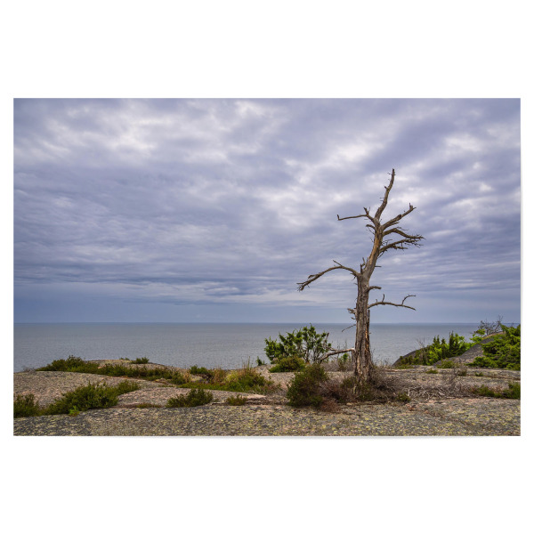 Poster "Wolkenhimmel, Baum, Fels" artboxONE - Natur,Reise,Reise / Strand und Meer,Reise / Länder