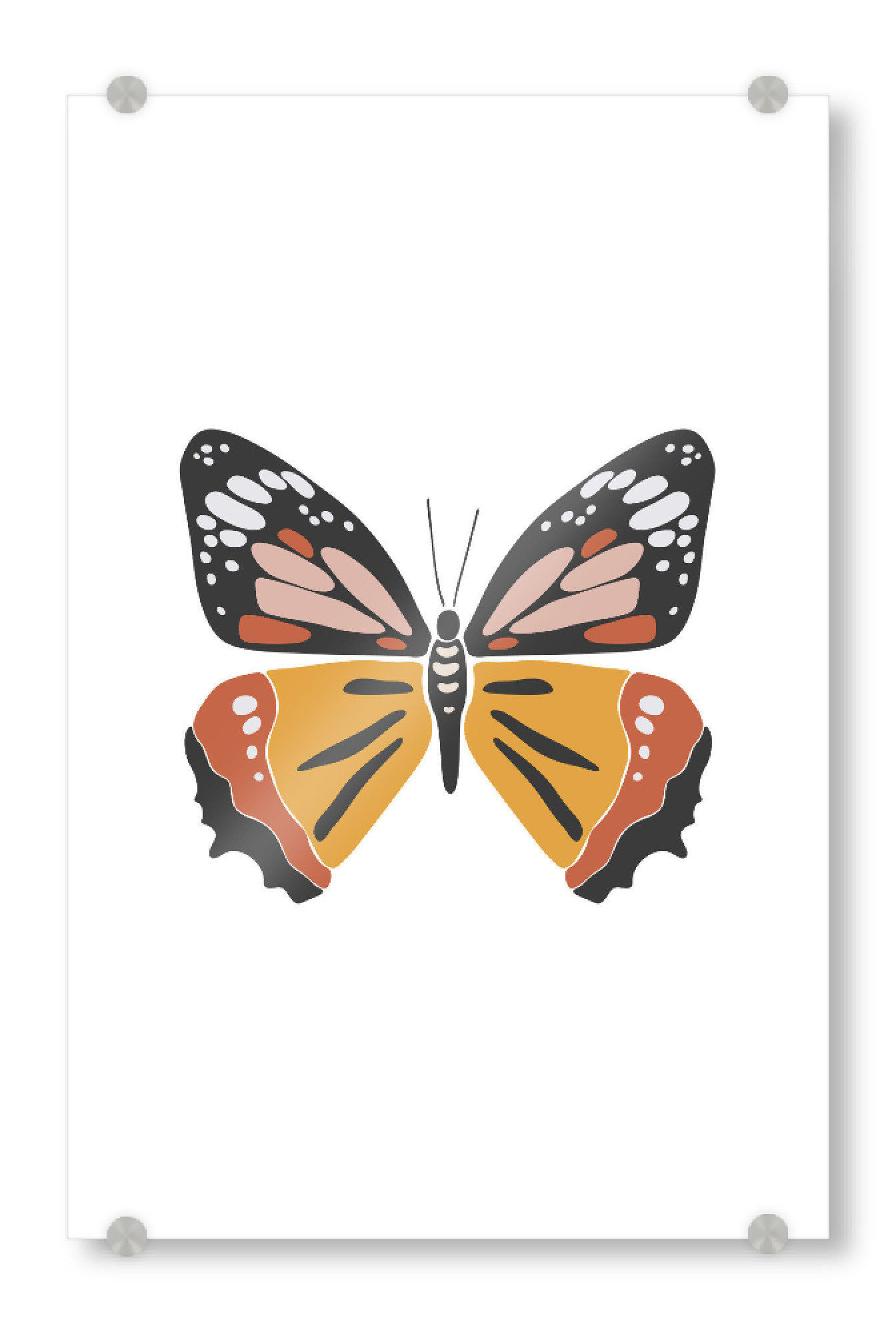 Acrylglasbild "Farbiger Sommerschmetterling" artboxONE - Tiere - Schmetterling,Insekt,Tier,Boho,Sommer,Frühling,Abbildung,Orange,Isoliert