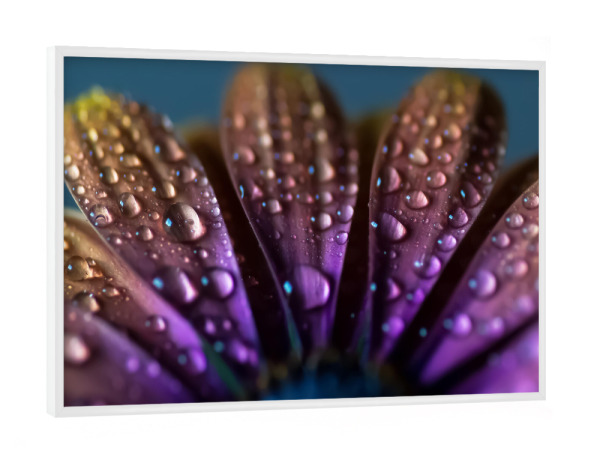 Poster mit weißem Rahmen "Schönheit aus nächster Nähe" artboxONE - Natur,Floral,Abstrakt,Für Mama